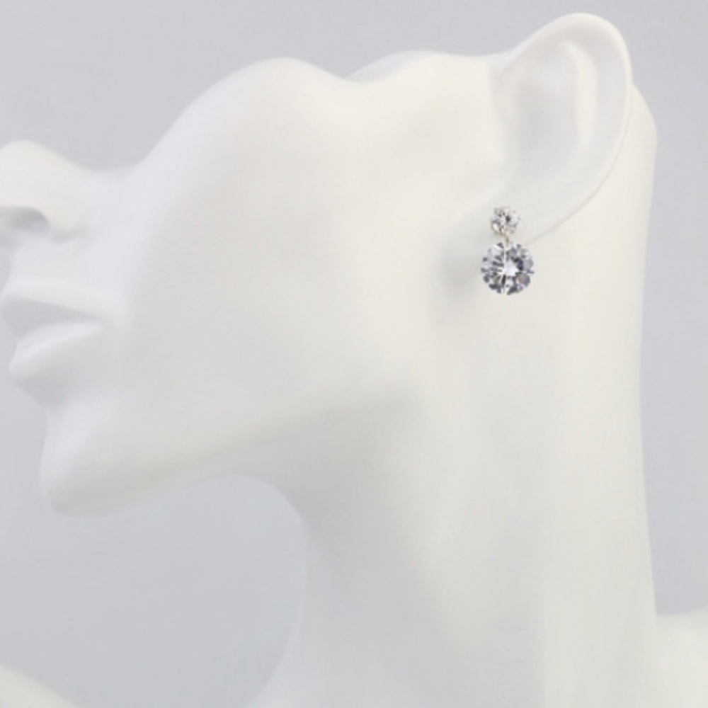 Round silver sparkly earrings